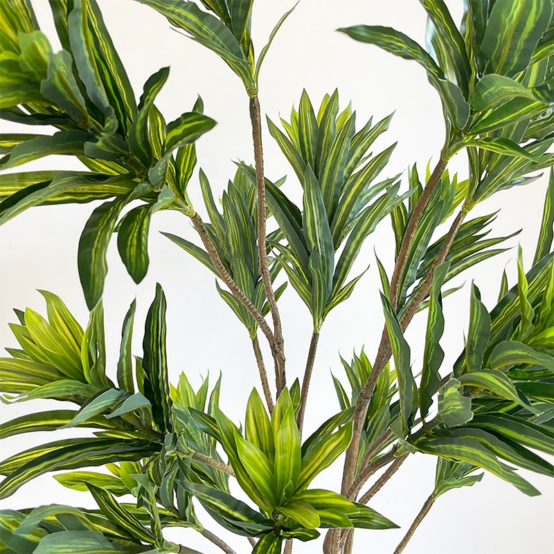 ドラセナ・ソングオブインディア | フェイクグリーン（造花・リース