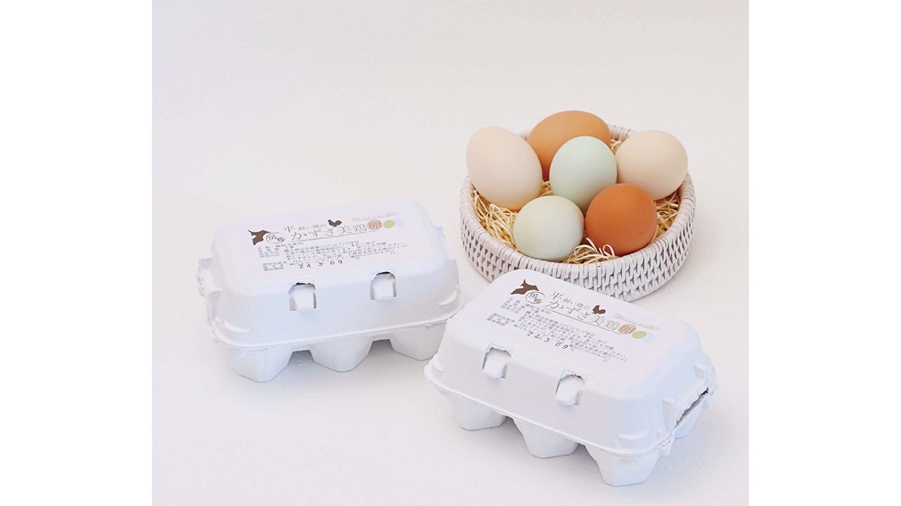 穴太商店】南房総 かずさ美鶏卵（6個入）4パック