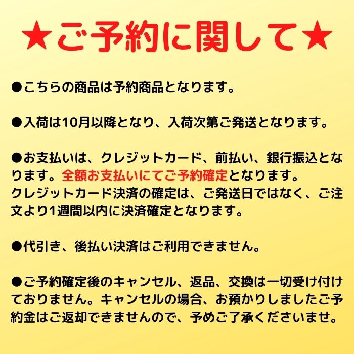 KORUA コルア DART ダート 140/152/156/160/164 フロートキャンバー