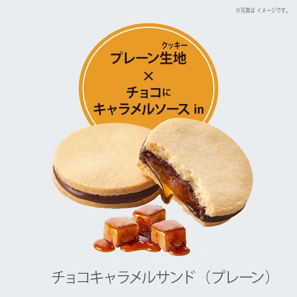 森のスイーツ工房セレクト（15個入）SS23-25D【ファクトリーシン公式