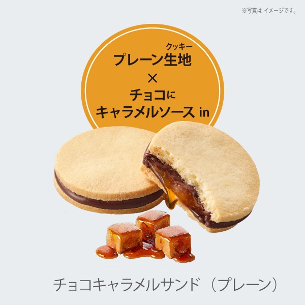 森のスイーツ工房セレクト（12個入）SS18-25D【ファクトリーシン公式