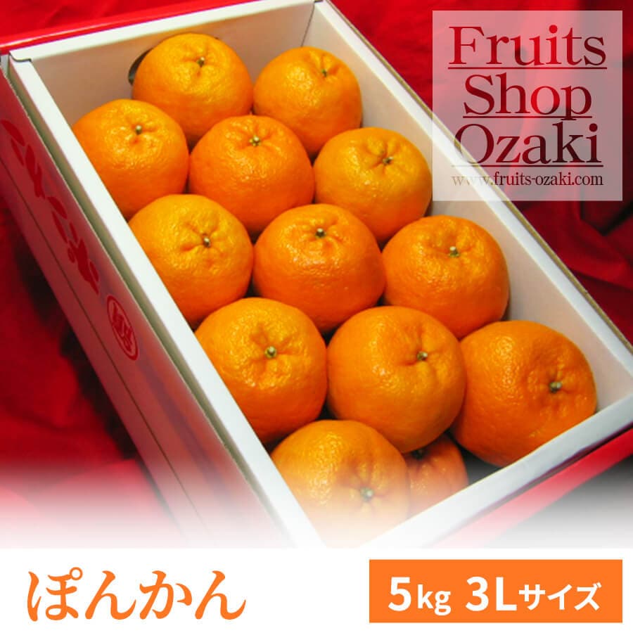 ぽんかん3Lサイズ 5K | 春 Spring fruits,ぽんかん | | フルーツ