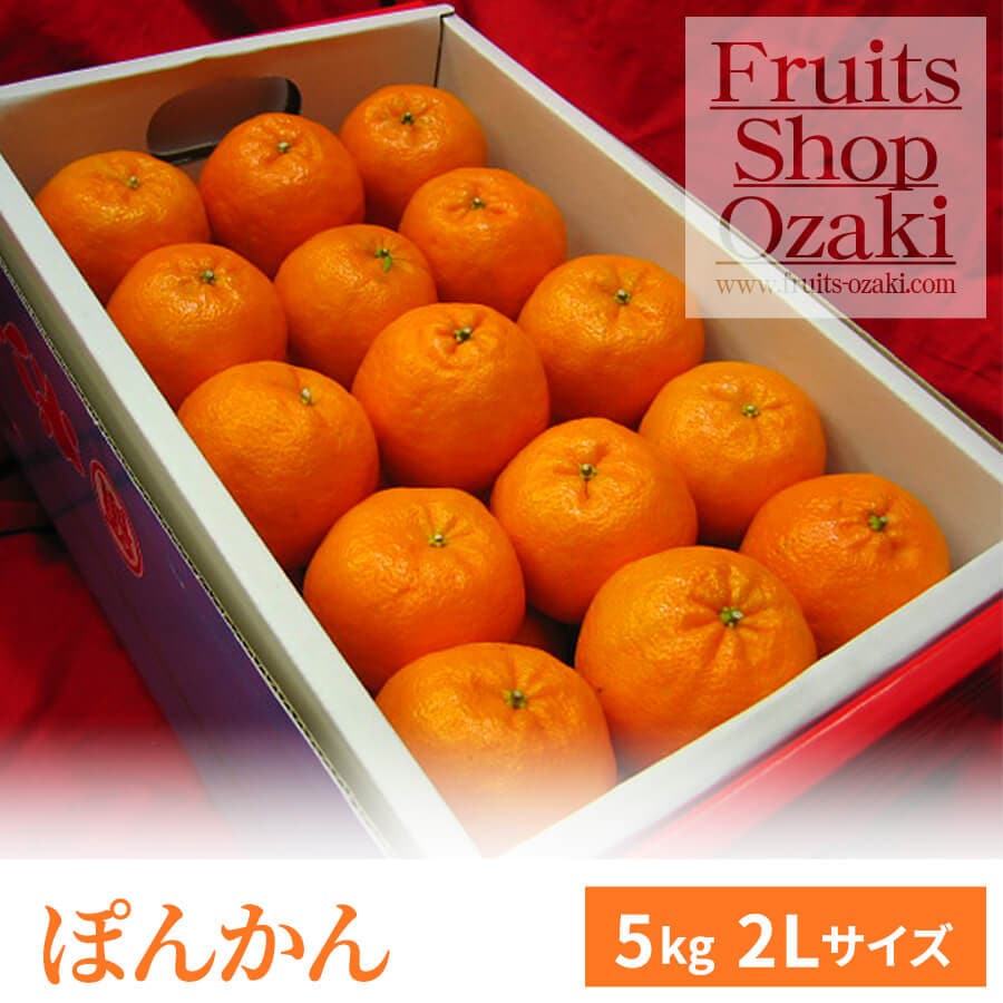 ぽんかん Lサイズ 5K | 春 Spring fruits,ぽんかん | | フルーツ
