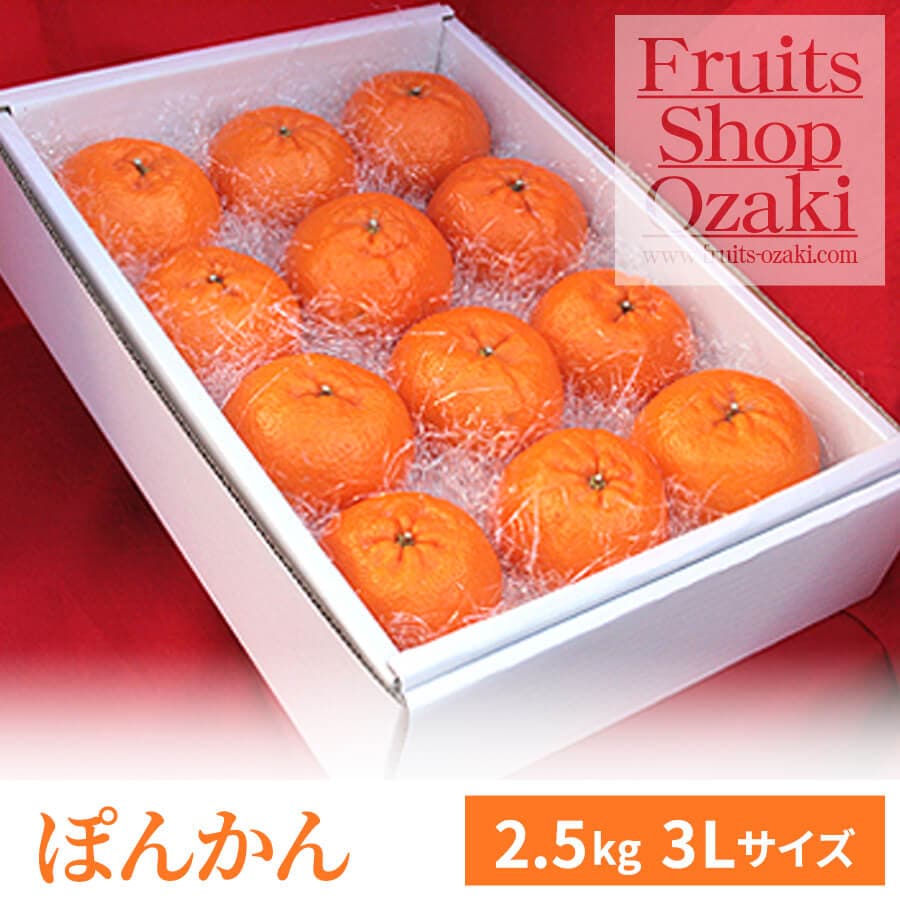 ぽんかん Lサイズ 2．5K | 春 Spring fruits,ぽんかん