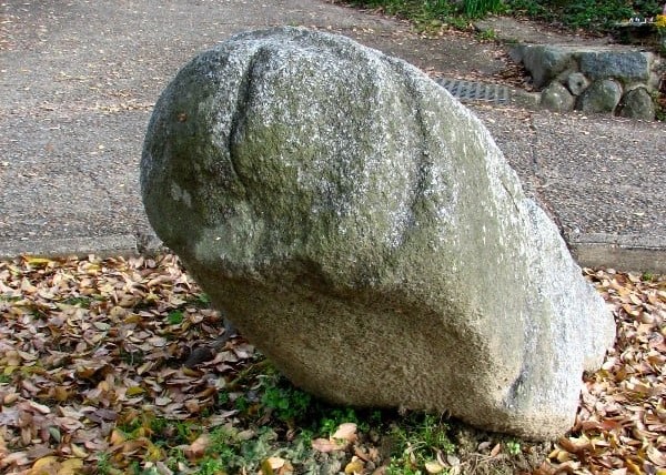 奈良・明日香村にある謎の石造物！その名も「マラ石」とは？正体不明の