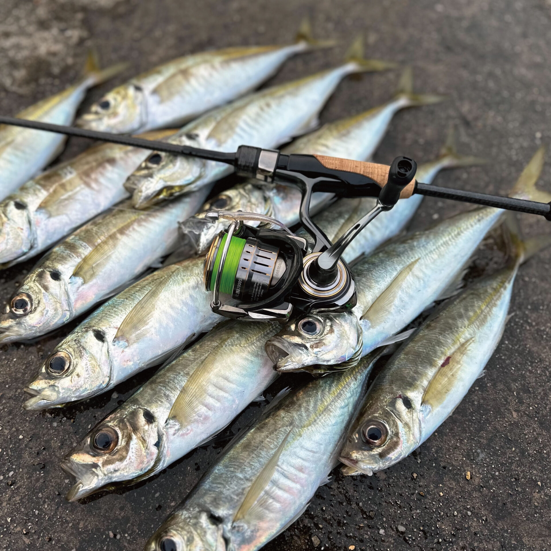 ユナイツ 60UL limited | ソルトルアーブランド【MAGBITE】