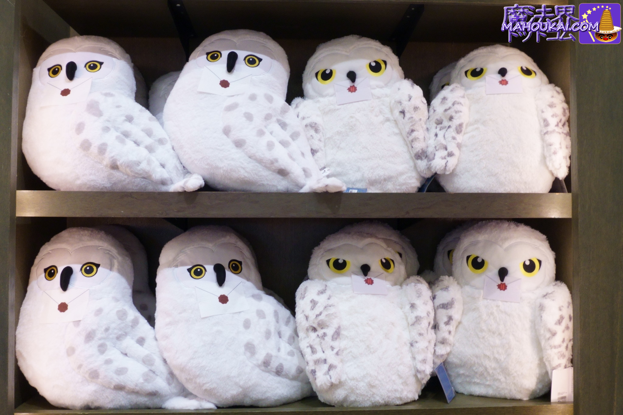 2023年4月の魔法界 USJ「ハリー・ポッター エリア」ヘドウィグの新