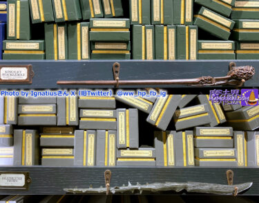 新発売】キングズリー・シャックルボルトの杖、デスイーター 棘の杖