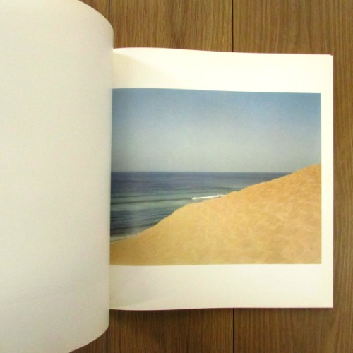 A SUMMER'S DAY / Joel Meyerowitz