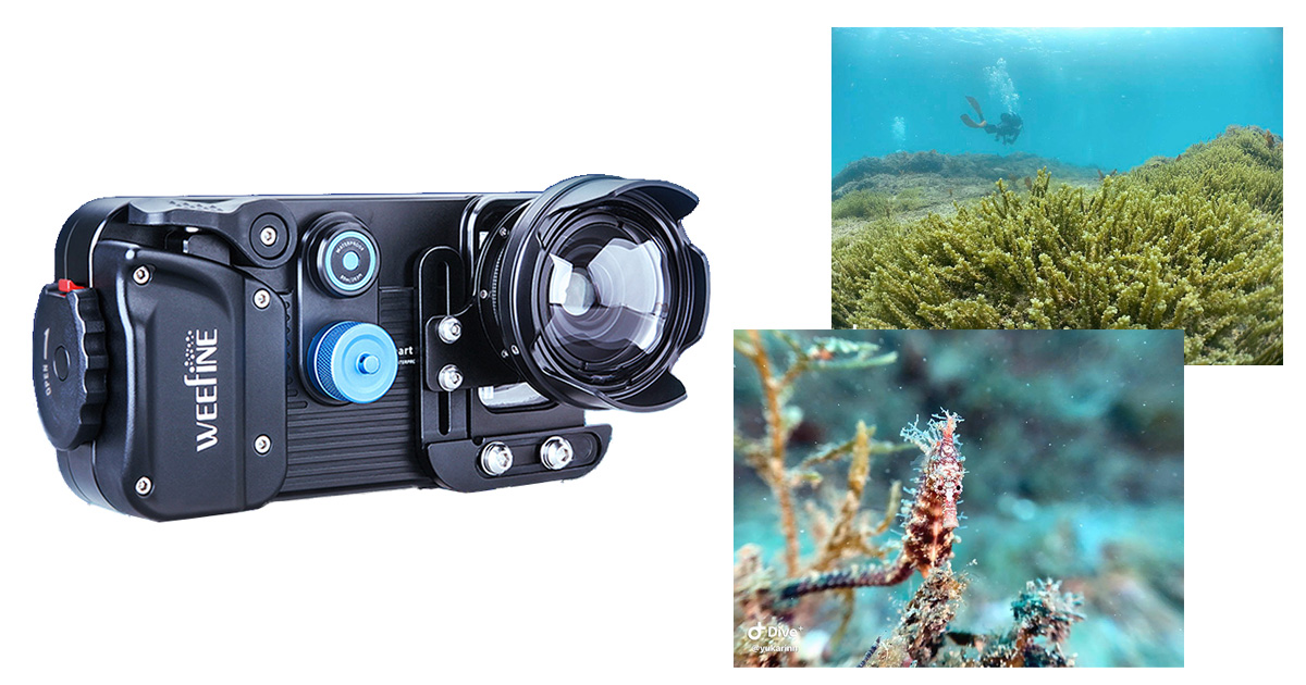 スマホが水中カメラになる！「WEEFINEスマートハウジング」に注目