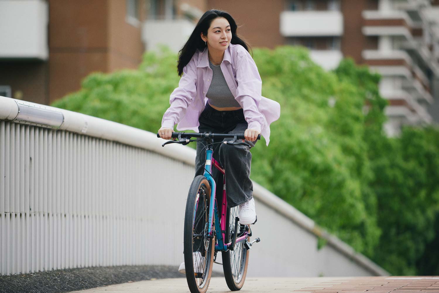 NICASIO SE LTD – MARIN JAPAN