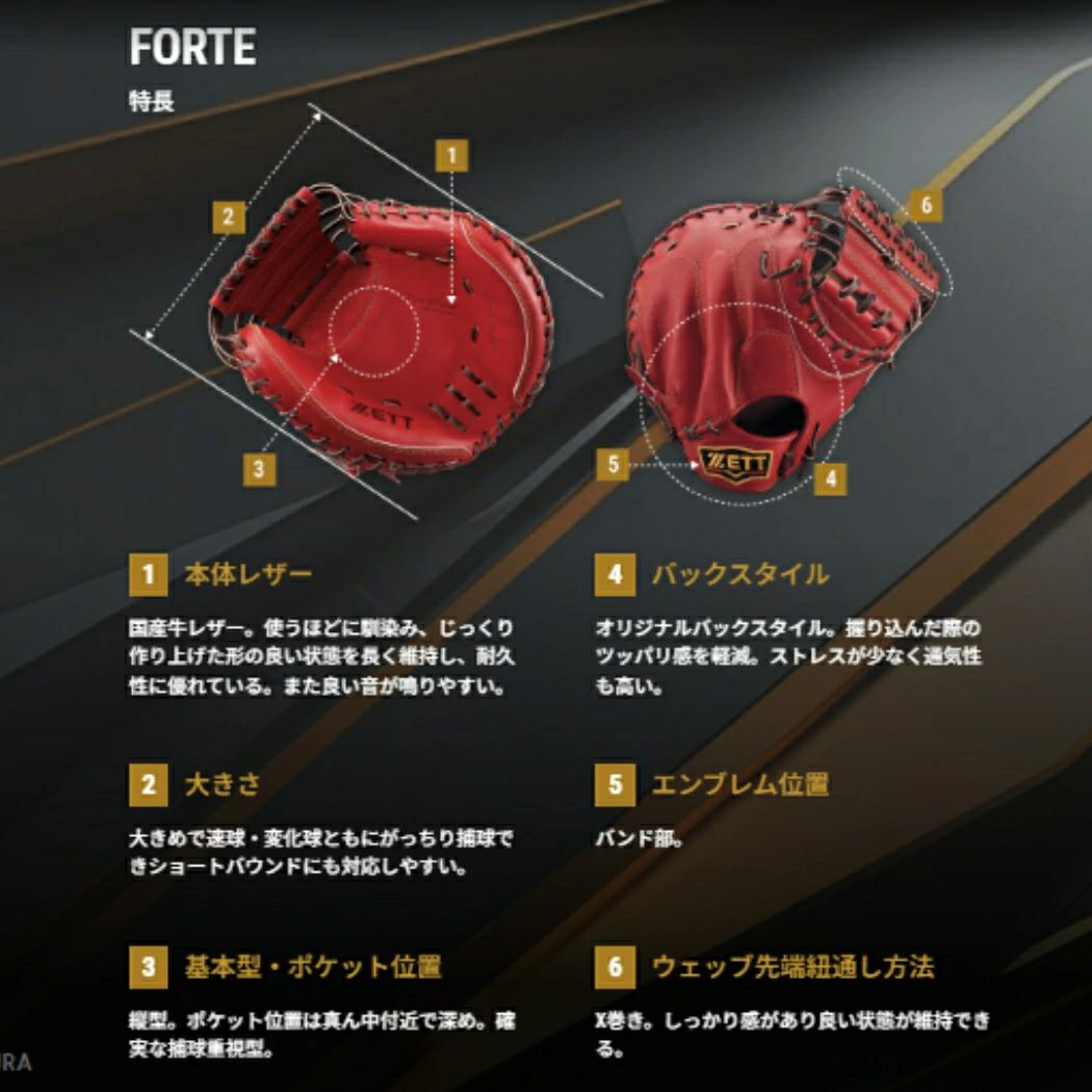 ゼット ZETT 【専用グラブ袋付き】プロステイタス 硬式用キャッチャー