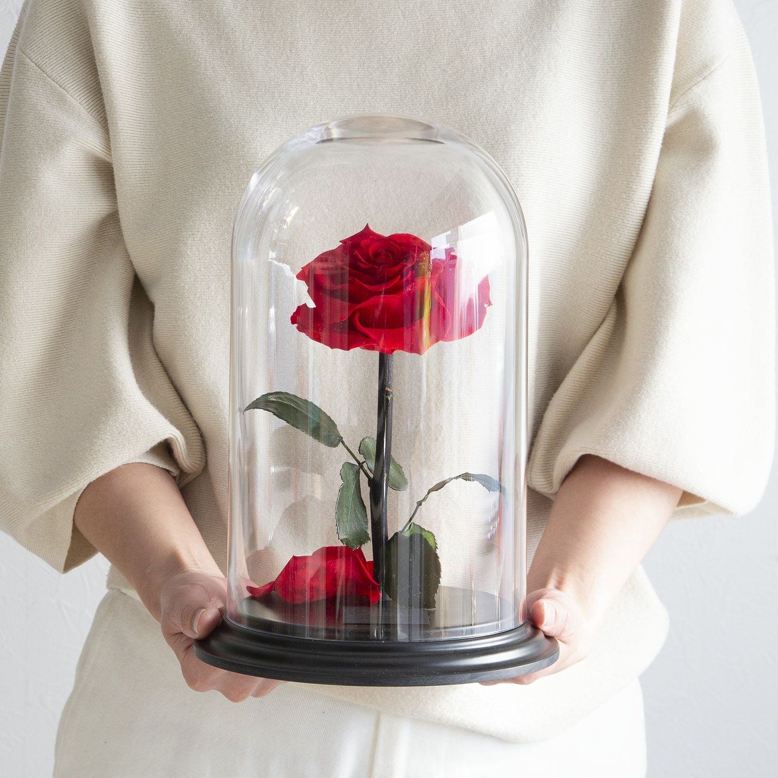 デスティニーローズ(1本立ち)/ブライトレッド （プリザーブドフラワー