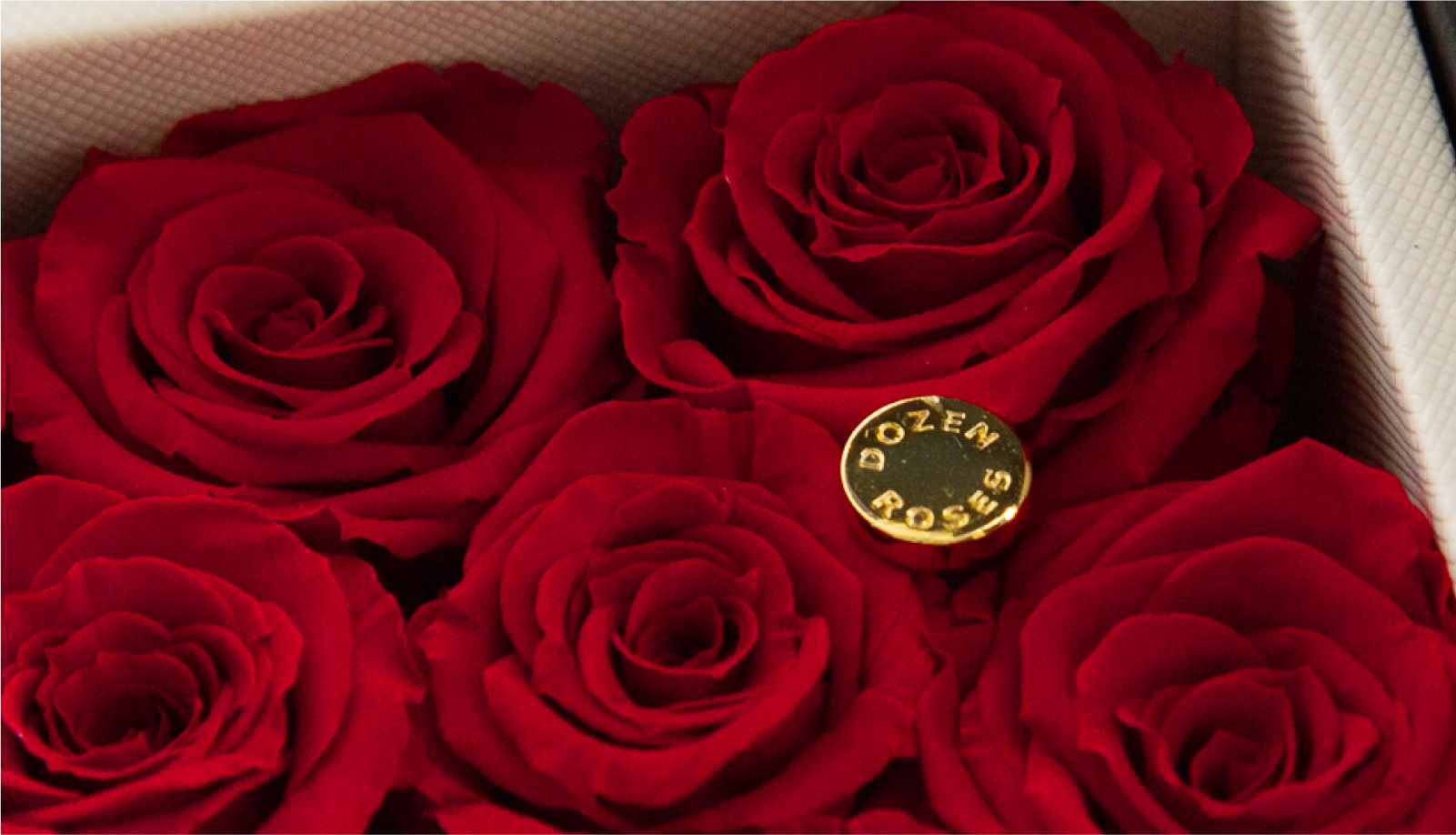 ダーズンローズドゥロワー(プレミアム)/レッド （プリザーブドフラワー