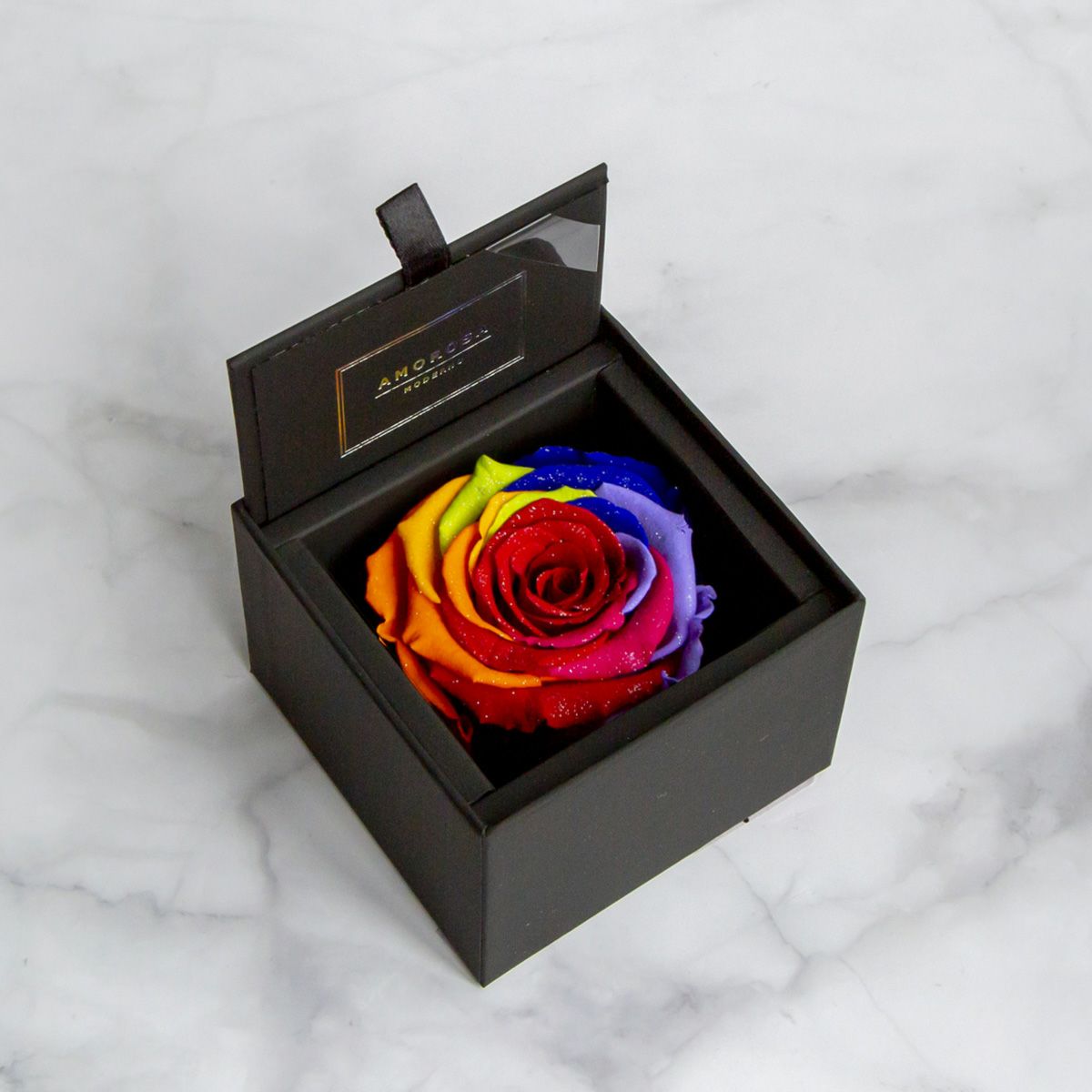 000000000340-01-m.jpg?t=