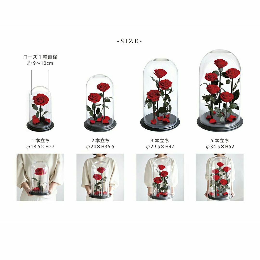 デスティニーローズ(5本立ち)/ブライトレッド （プリザーブドフラワー