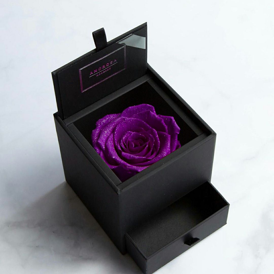 000000000510-01-m.jpg?t=