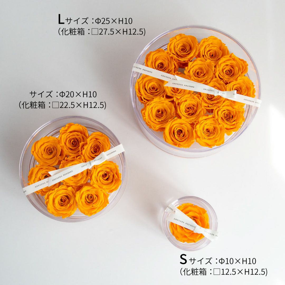 ブリリアント(L)/オレンジ （プリザーブドフラワー） | 最高級