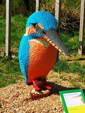Lego Kingfisher - Picture of WWT Washington Wetland Centre