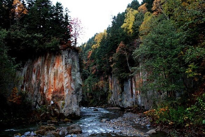 Daisetsuzan National Park and Kurodake Ropeway Autumn Tour 2026