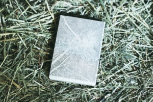 折坂悠太が初著書『薮IN』を刊行。ただ、薮をそこに置いてみたかった