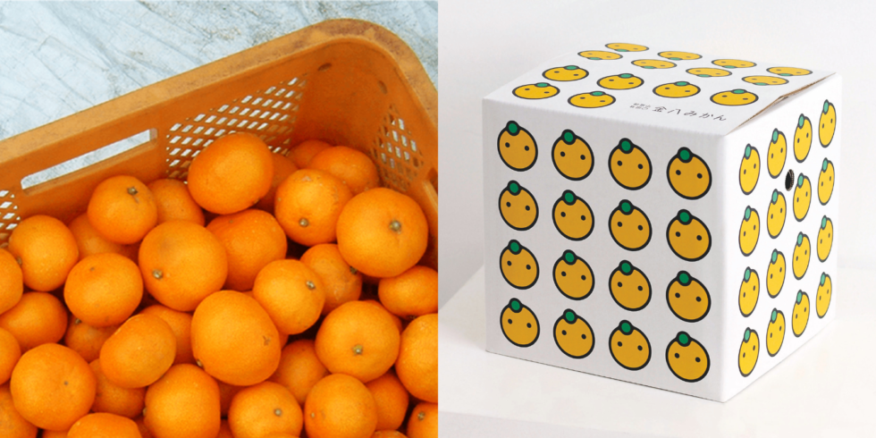 開催中止】d47 MARKET「かどやの金八みかん」 | D&DEPARTMENT