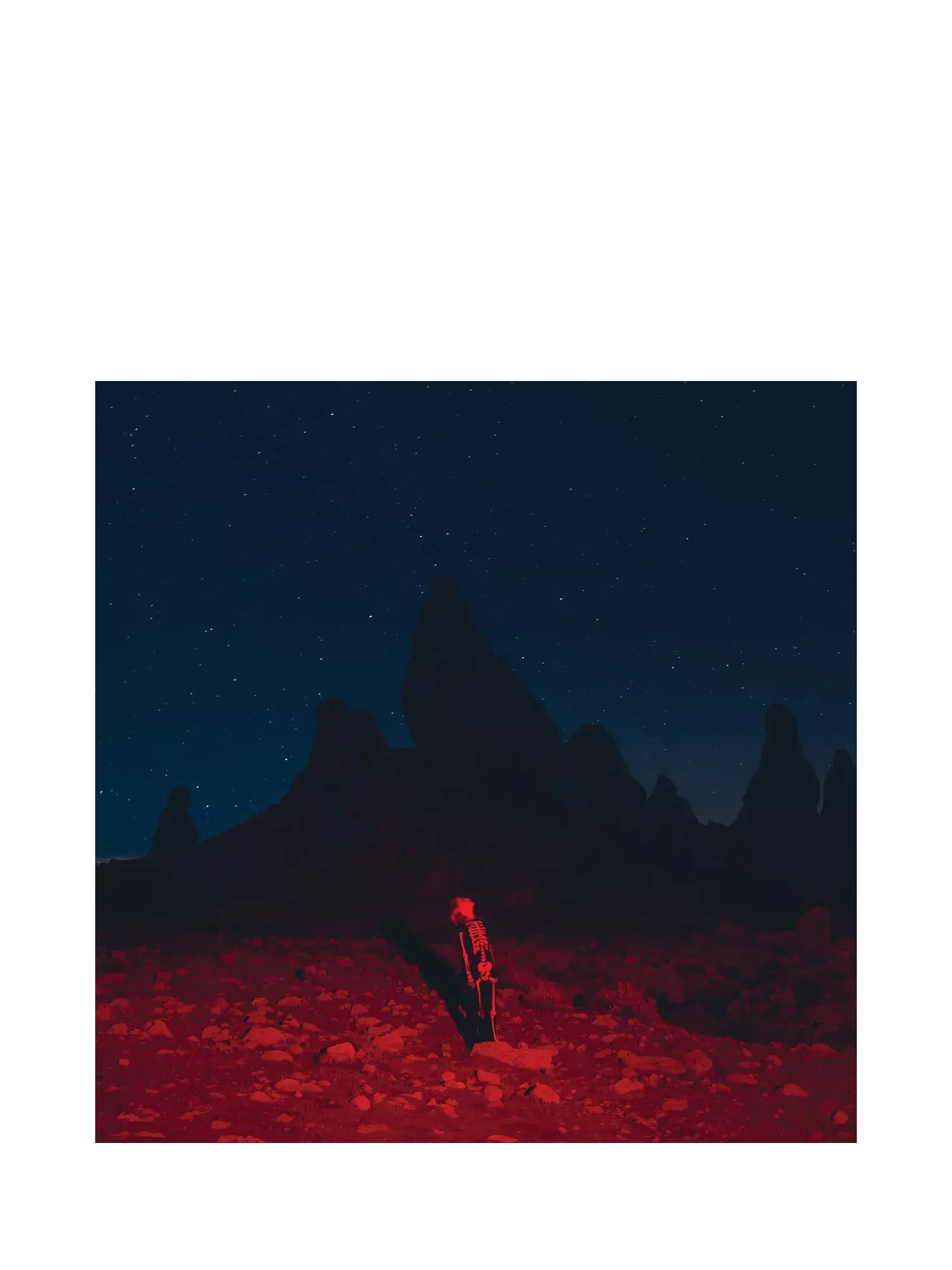 Rough Trade Phoebe Bridgers - Punisher LP