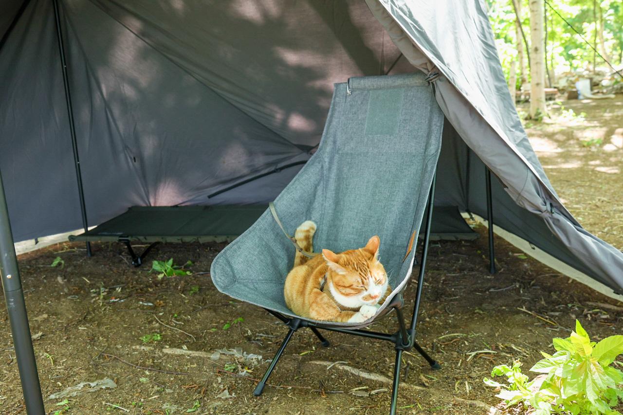 チェアに約2万円か……」と正直迷ったものの、結果オーライと思えた逸品