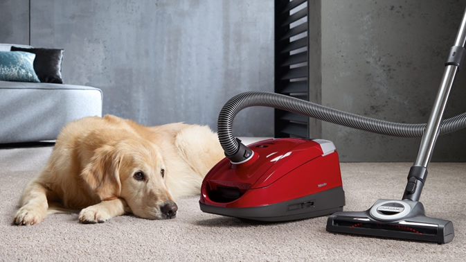 ミーレ掃除機 Compact C2 シリーズに新色が登場！