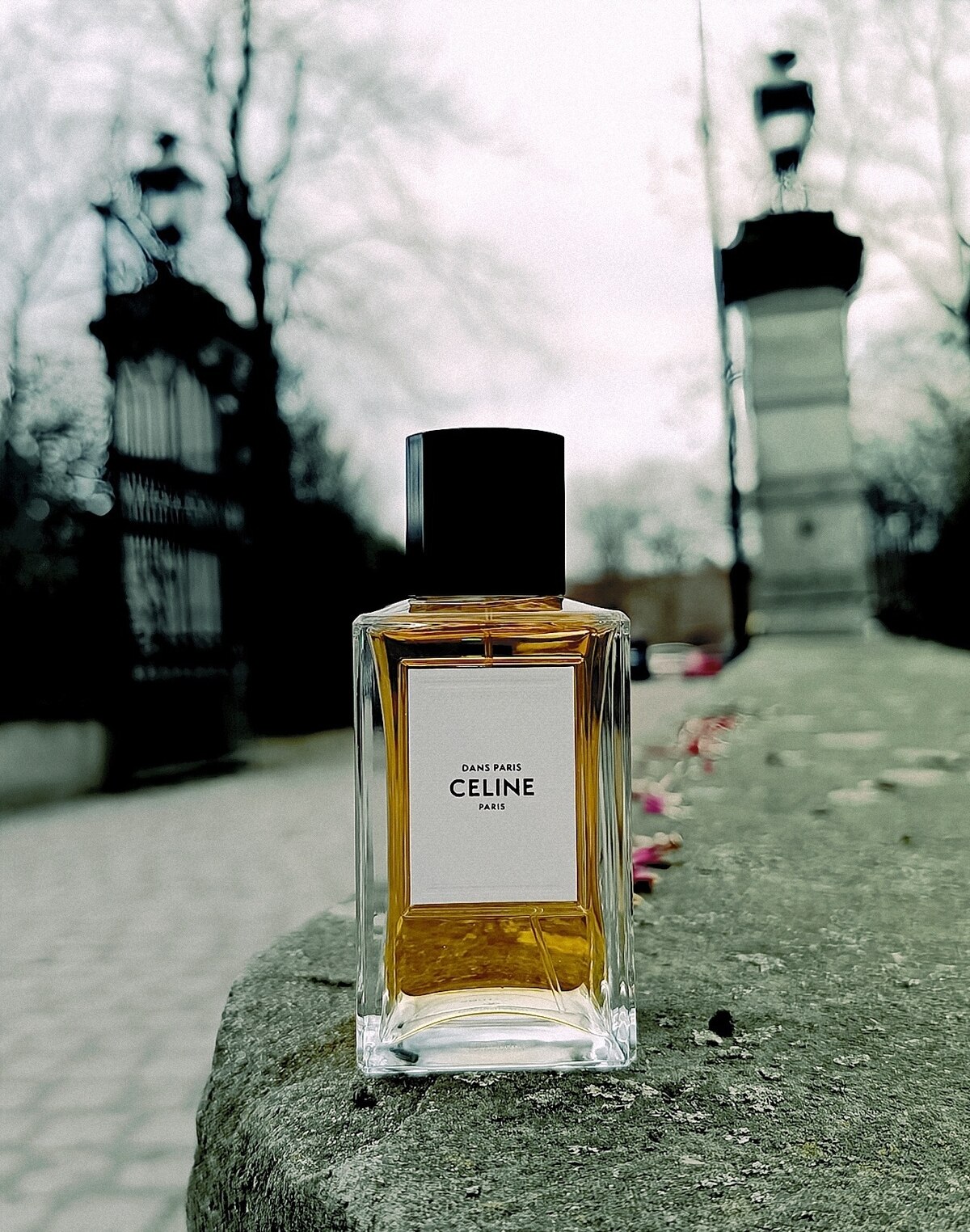 Dans Paris by Celine » Reviews & Perfume Facts