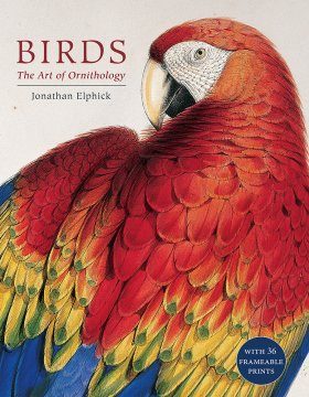 Birds: The Art of Ornithology | NHBS Good Reads