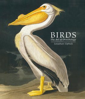Birds: The Art of Ornithology | NHBS Good Reads