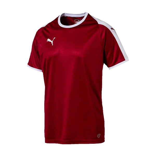 プーマ （PUMA） LIGAゲームシャツ 703637 | ユニフォーム | サッカー