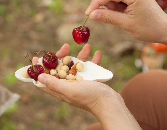 葉っぱ/リーフ型の100%パルプのエコな紙皿