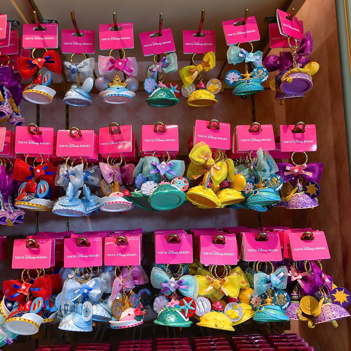 ディスニープリンセスデザイン！東京ディズニーランド イヤーハット型