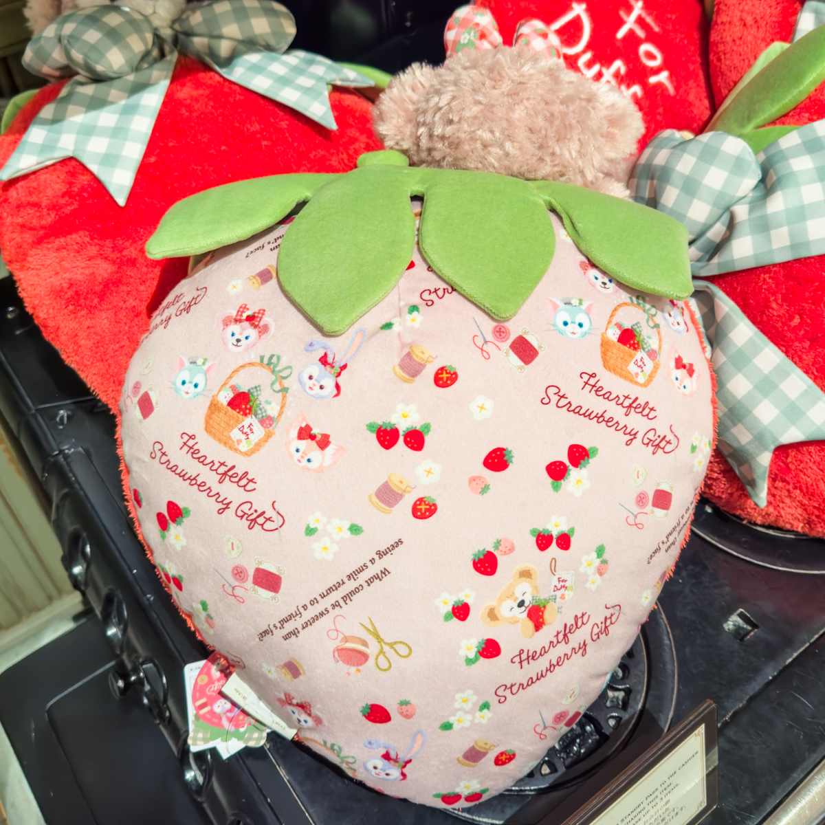 いちごを抱えた姿もかわいい！