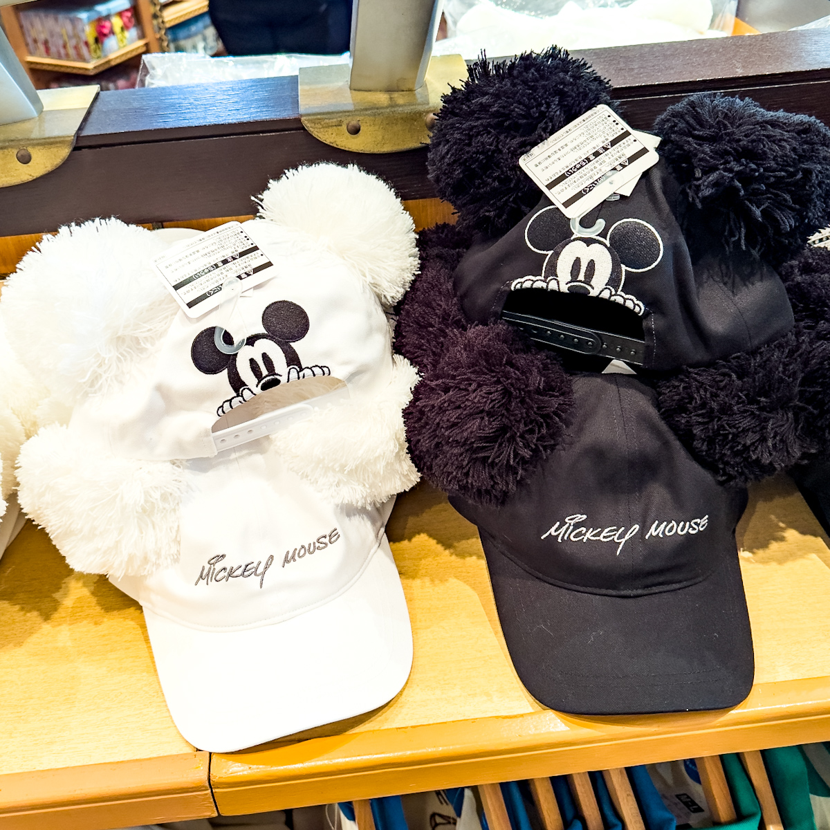 東京ディズニーランド“2025”キャップ（帽子）・お土産まとめ -