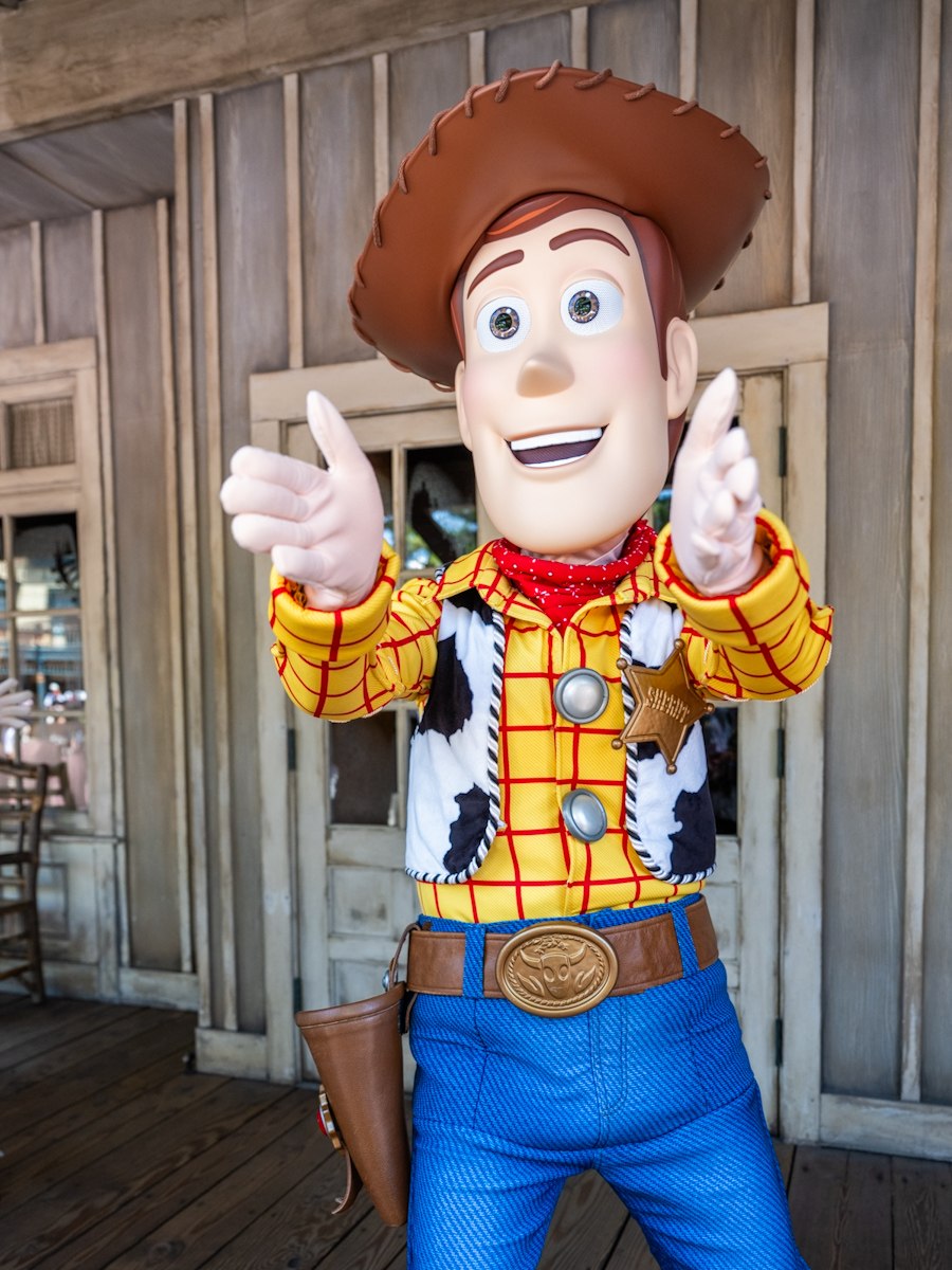 希少品】トイストーリー オルゴール ピクサー ウッディ ウエストランド