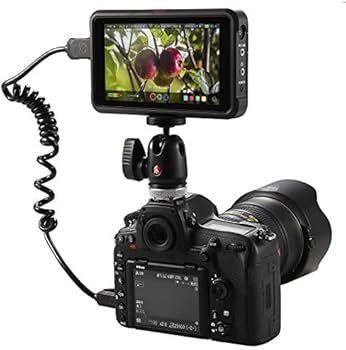 Amazon.com: Atomos Ninja V Ninja V 4Kp60 10bit HDR Daylight