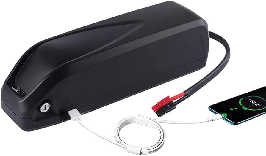 Amazon.co.jp: 48V 20Ah 22Ah 電動自転車バッテリー 200-1100W