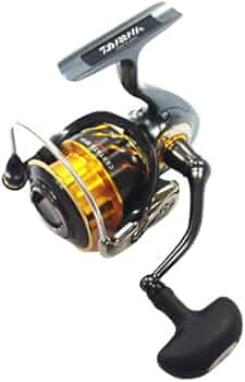 414rgdScXtL._AC_UF350,