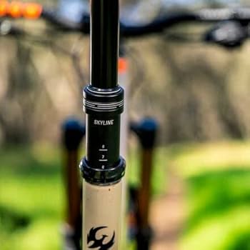 Amazon | Tranz-X スカイライン スポイトポスト (30.9、レバーなし