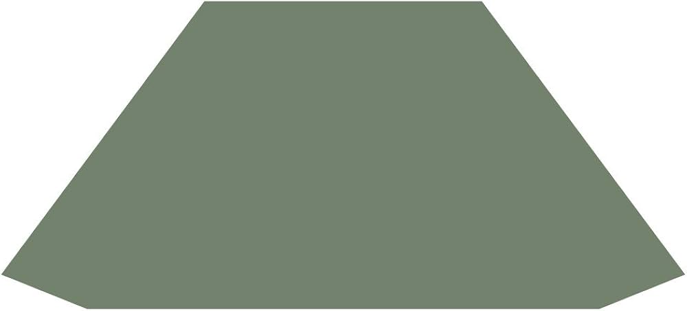 Amazon | スノーピーク(snow peak) テント ソル Pro. インナーマット4