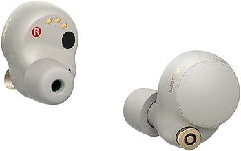 Amazon.com: Sony WF-1000XM4 Noise Canceling Wireless Earbud