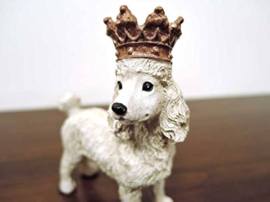 415sDwkgs+L._AC_UF894,