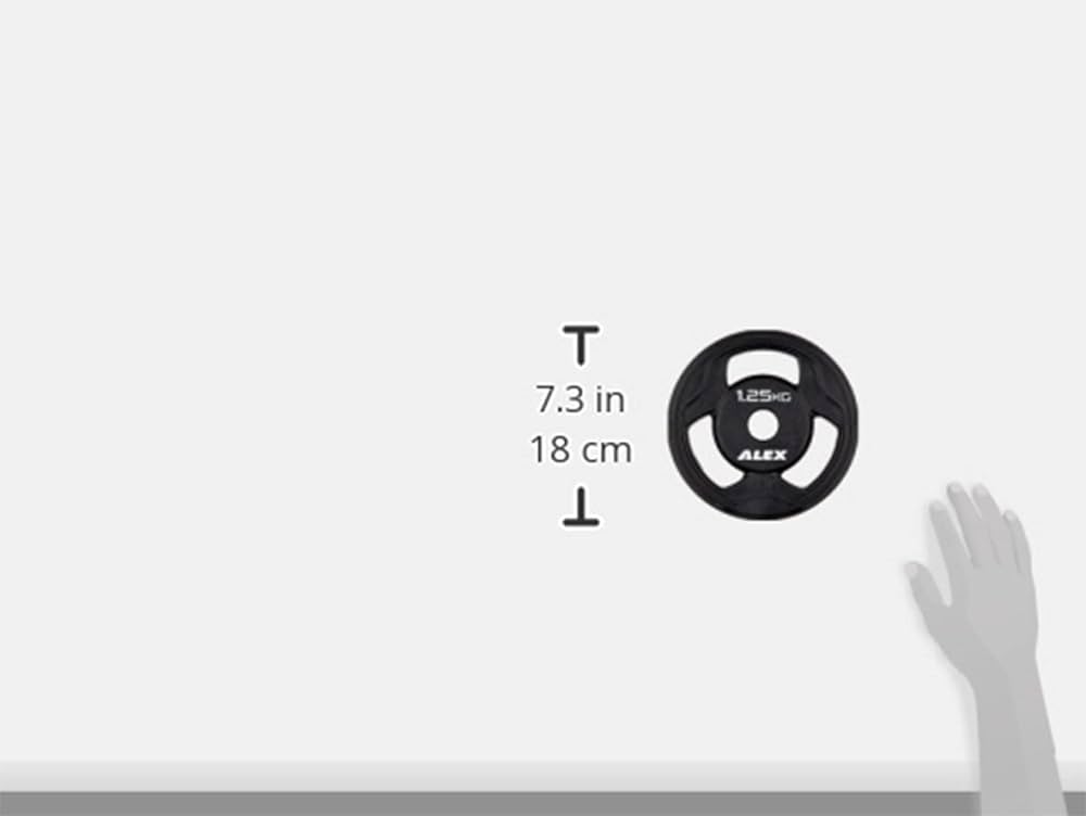 Amazon.co.jp: ALEX BPR ラバープレート 1.25Kg [穴径28mm] 黒