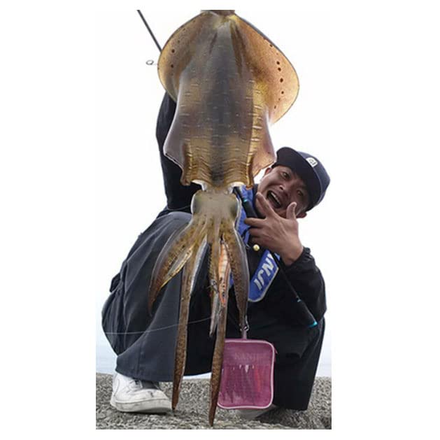 Amazon | クロノ(CRONO) カンジ EXR-88 TideOver タイドオーバー