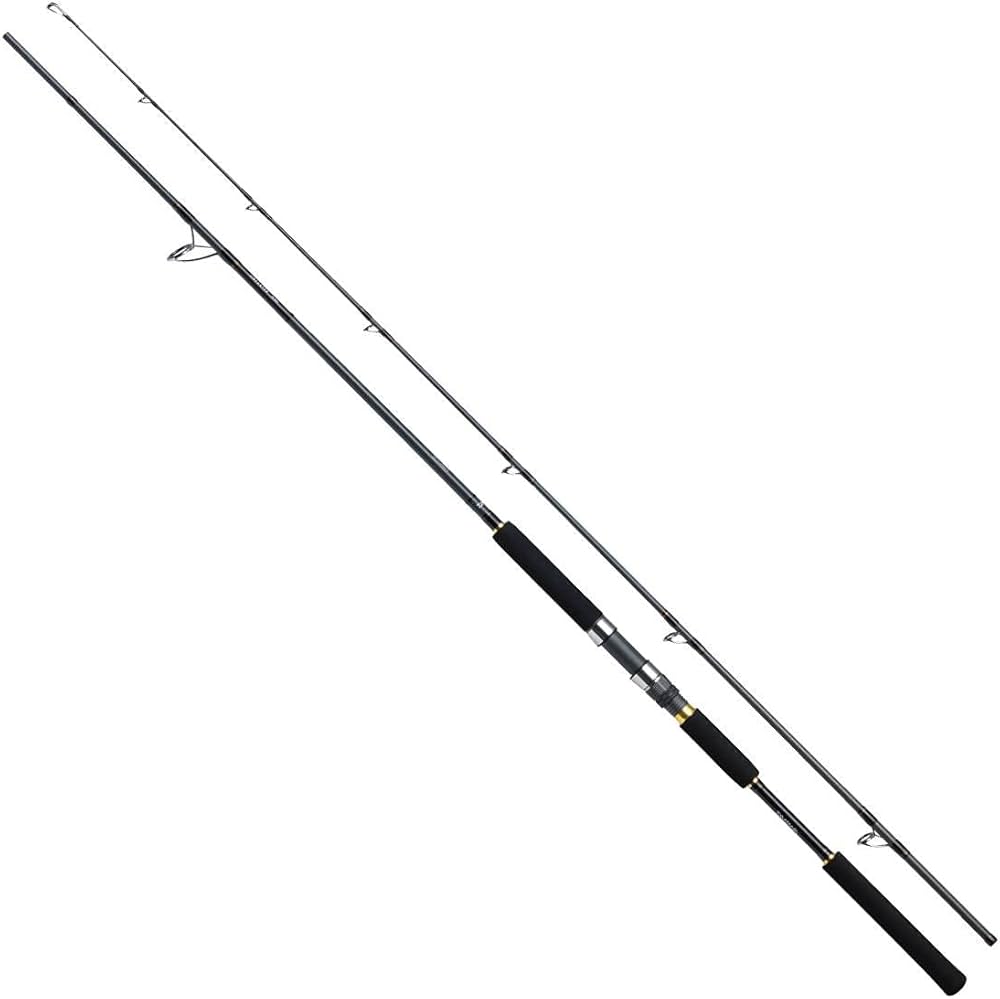 Amazon | ダイワ(DAIWA) ショアジギングロッド ジグキャスターMX 106MH