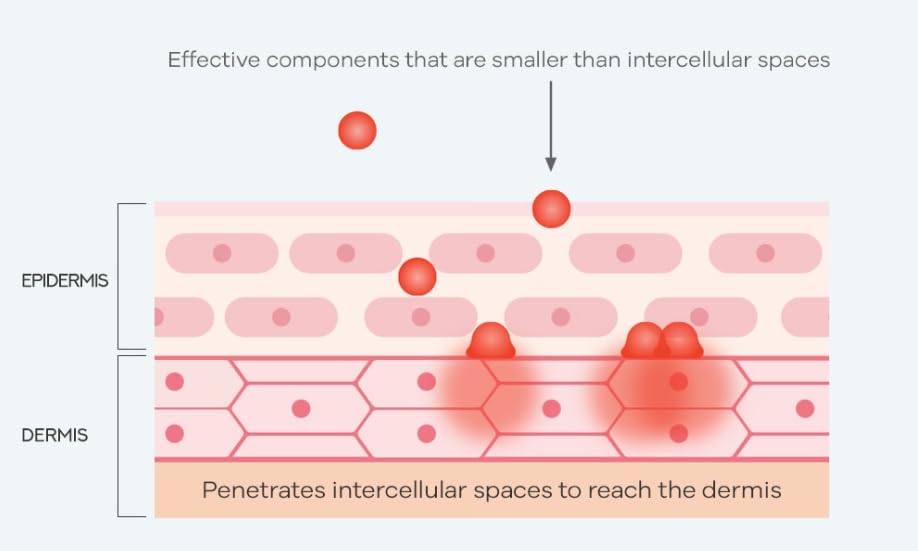 Amazon.com: [LHALALA Official] LHALA Peel Set (Basic + Ultra