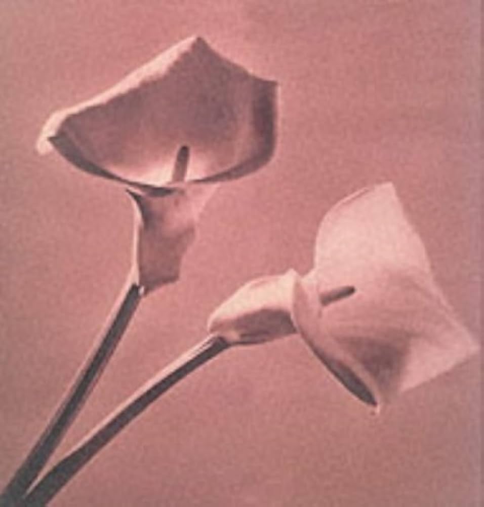 Pistils: Robert Mapplethorpe: 9780224037839: Amazon.com: Books